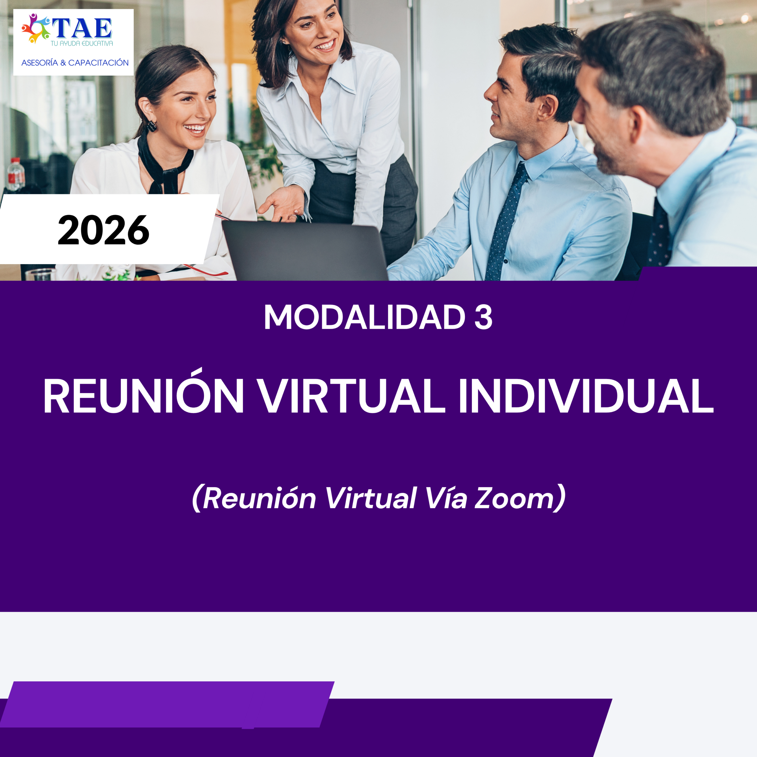Reunión Virtual Individual - Portafolio Docente
